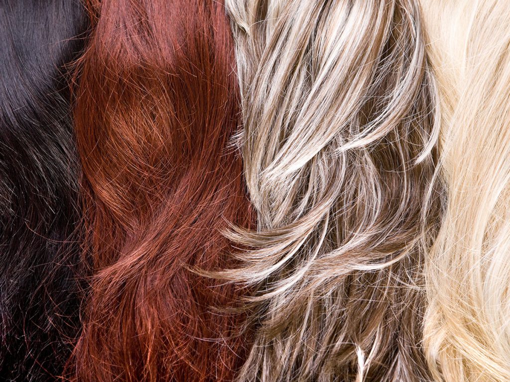 Image of different hair colors